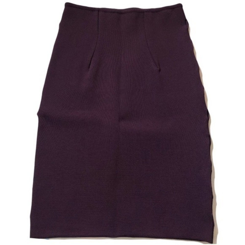 Alexander Wang Women Skirt | Small | Purple